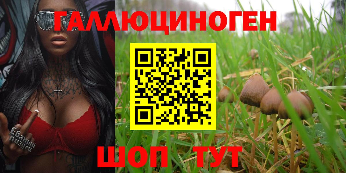 Электрогорск  даркнет сайт  Галлюциногенные грибы мухоморы  Вход с VPN  Галлюциногенные грибы Psilocybe 